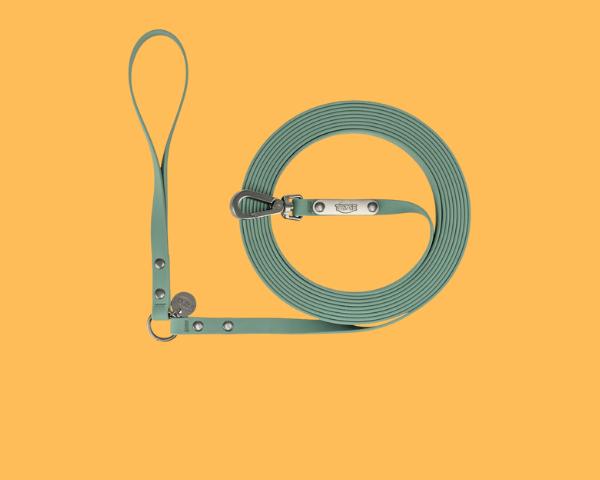 Stylische Hundeleinen in grün auf einem orangefarbenen Hintergrund, ideal für sichere Spaziergänge.