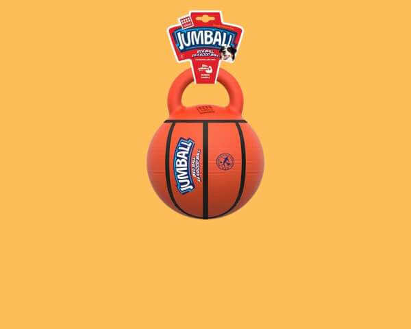 Hundespielzeug – Spiel & Spaß!