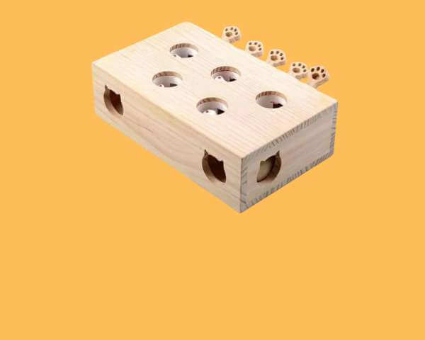 Katzenspielzeuge für Abenteurer!