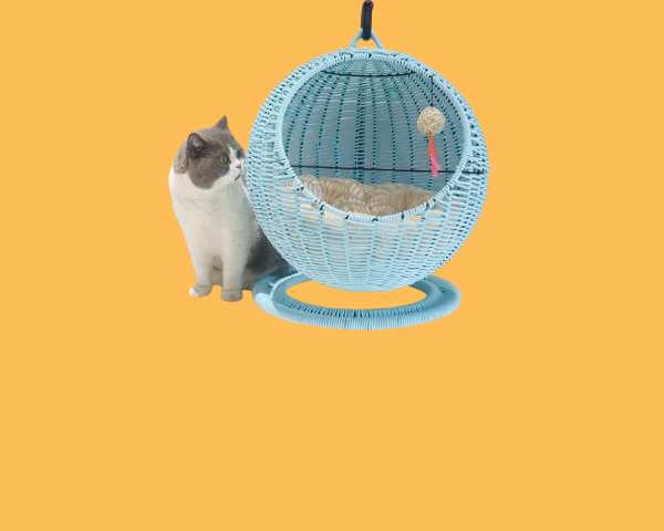 Ruheplätze für Hunde und Katzen